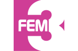 FEM3