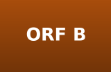 ORF B