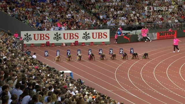 Diamantová liga 2026, Wanda Diamond League Švýcarsko, Atletika