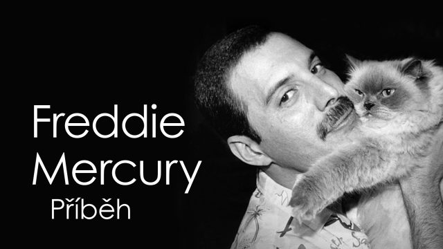 Freddie Mercury: Příběh, Freddie Mercury - 80 let
