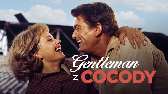 Gentleman z Cocody, Gentleman de Cocody, Le