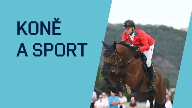 Koně a sport, Jezdectví