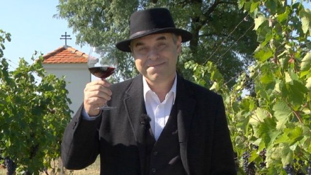 Naše tradice: Vinobraní