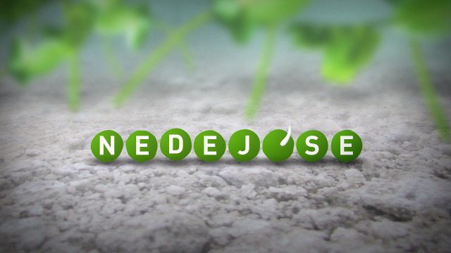 Nedej se