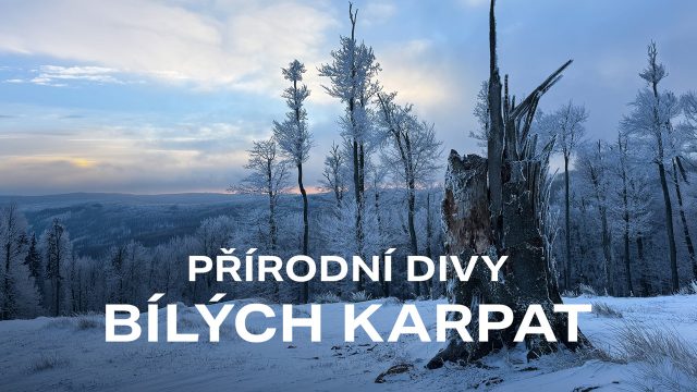 Přírodní divy Bílých Karpat, Jalovcová stráň