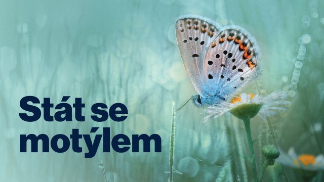 Stát se motýlem