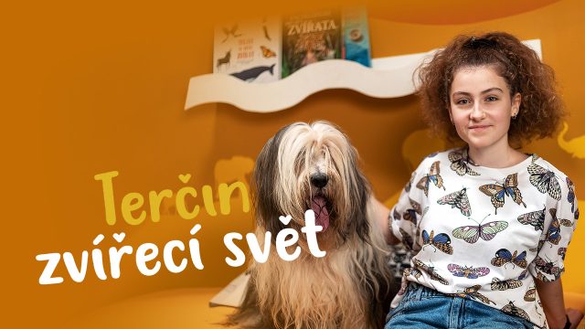 Terčin zvířecí svět