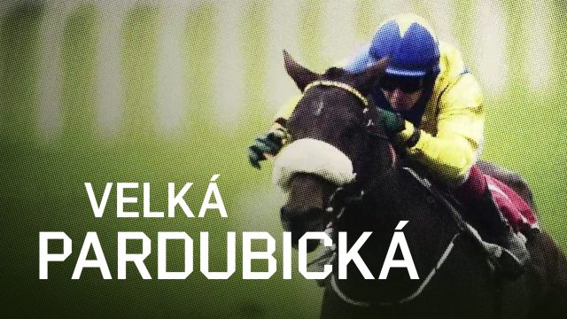 Velká pardubická 2026, IV. kvalifikace na 136. Velkou pardubickou se Slavia pojišťovnou, Dostihy