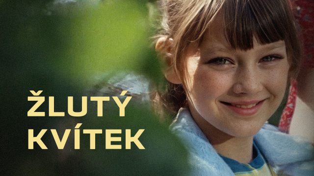 Žlutý kvítek