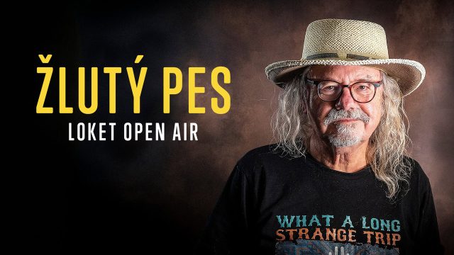 Žlutý pes Loket - Open Air, Týden dárků