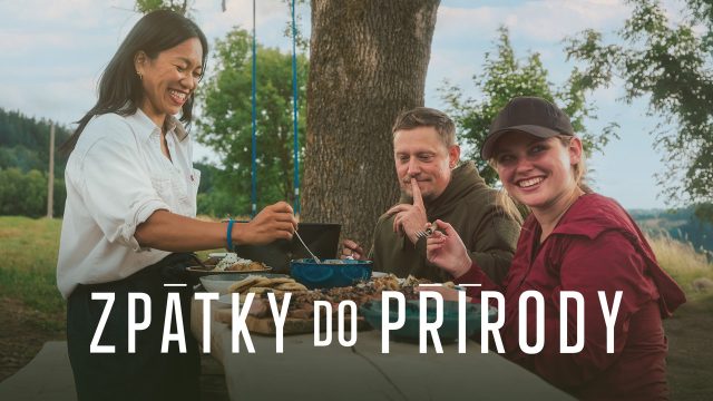 Zpátky do přírody 2: Kraj blanických rytířů